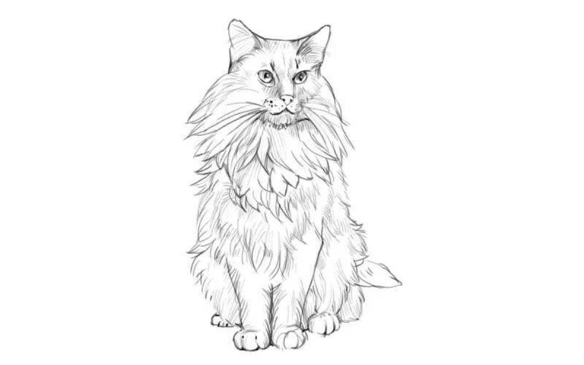 Очаровательная сибирская кошка раскраска
