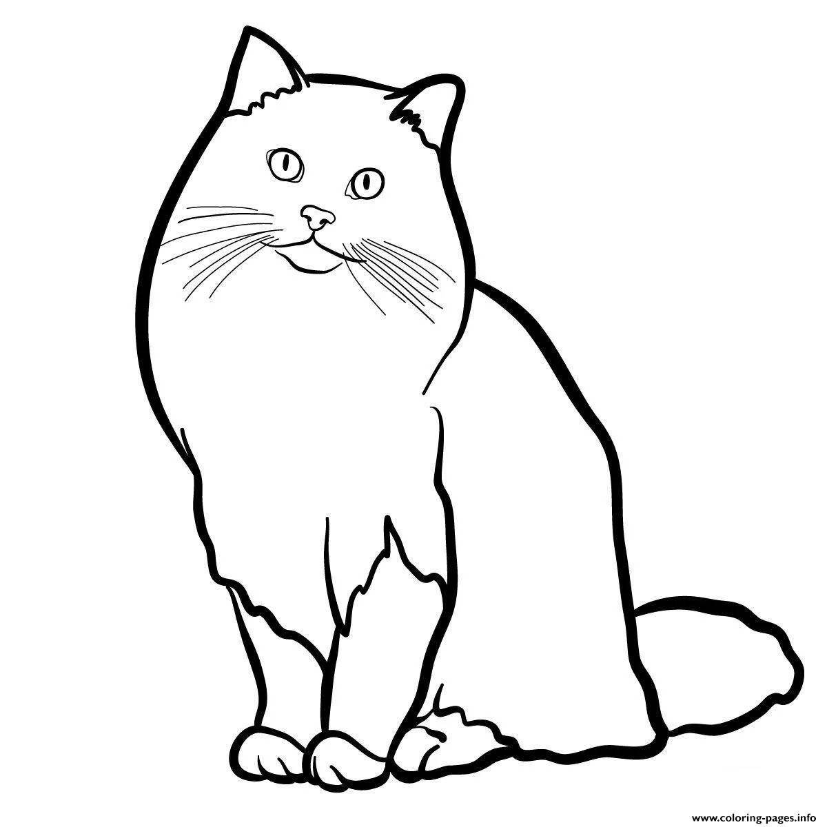 Живая сибирская кошка раскраска