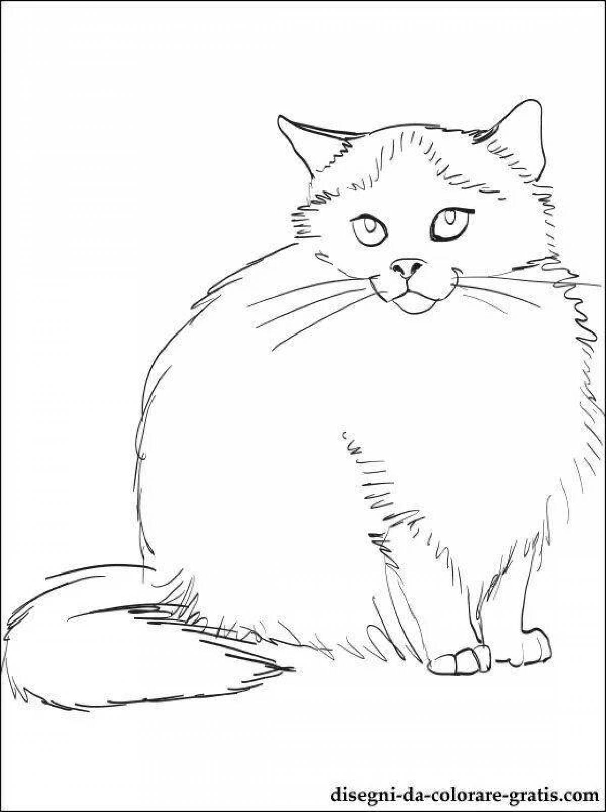 Elegant siberian cat coloring book