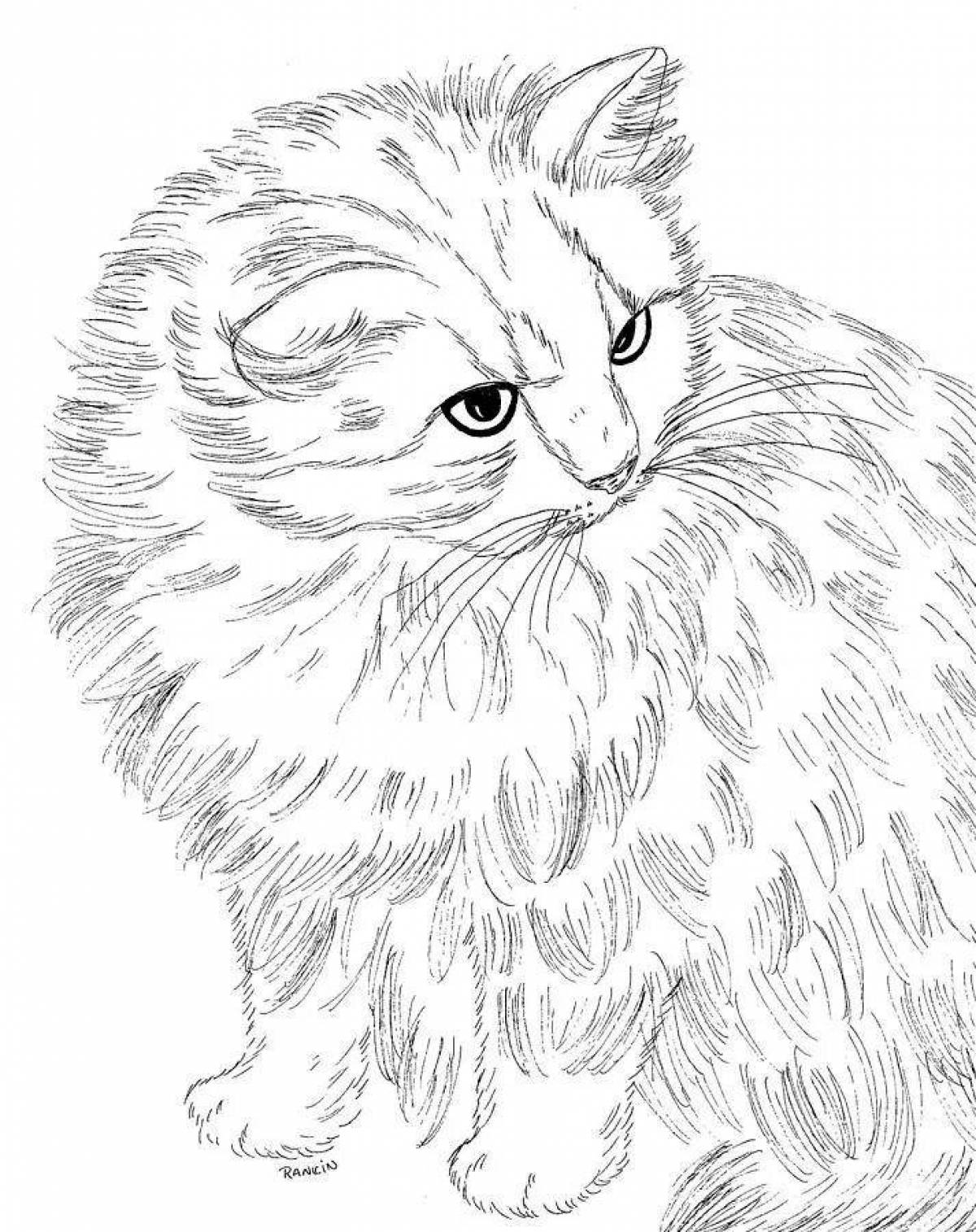 Colorful siberian cat coloring page
