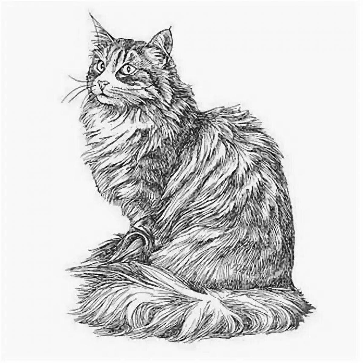 Fancy Siberian cat coloring book