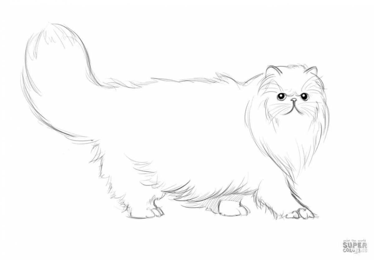 Adorable Siberian cat coloring page