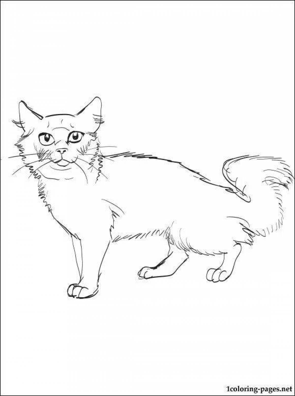 Раскраска веселая сибирская кошка