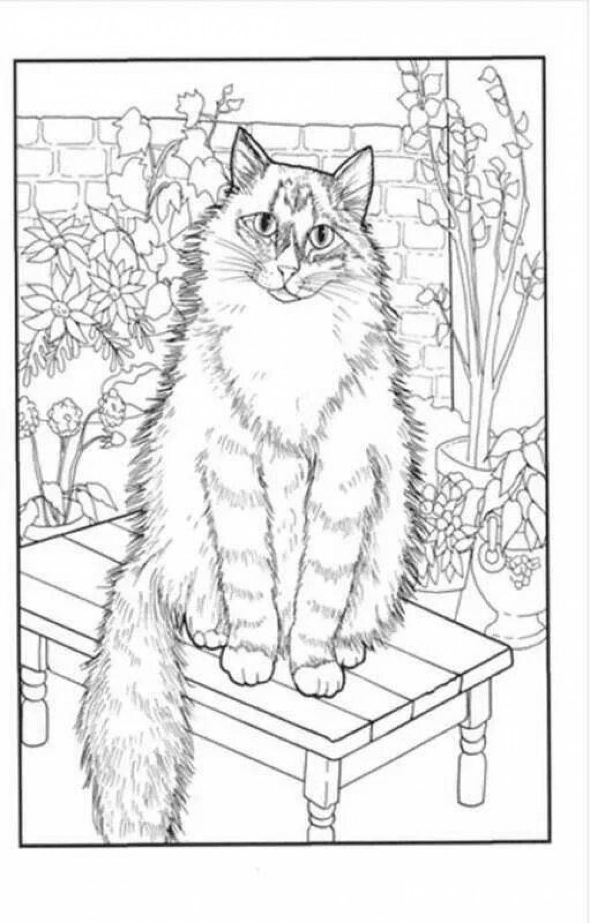 Curious siberian cat coloring page
