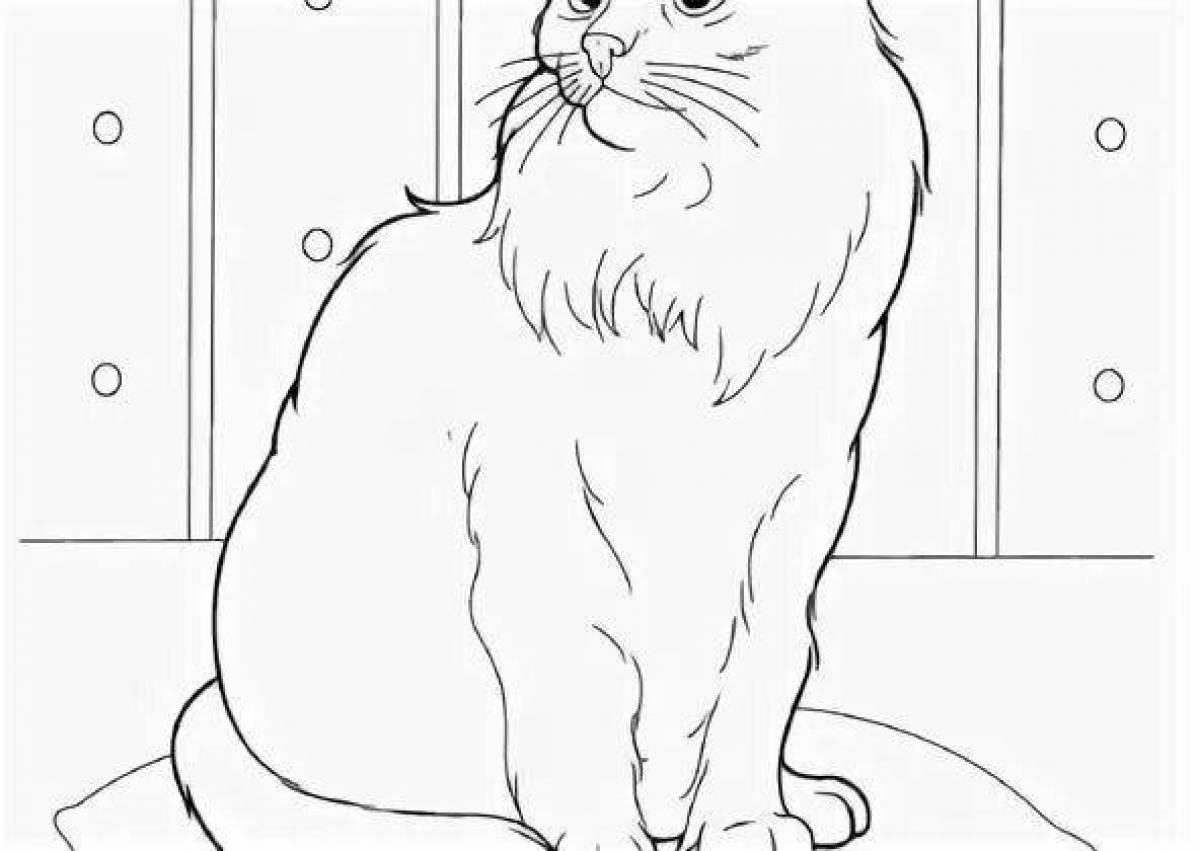 Раскраска безмятежная сибирская кошка