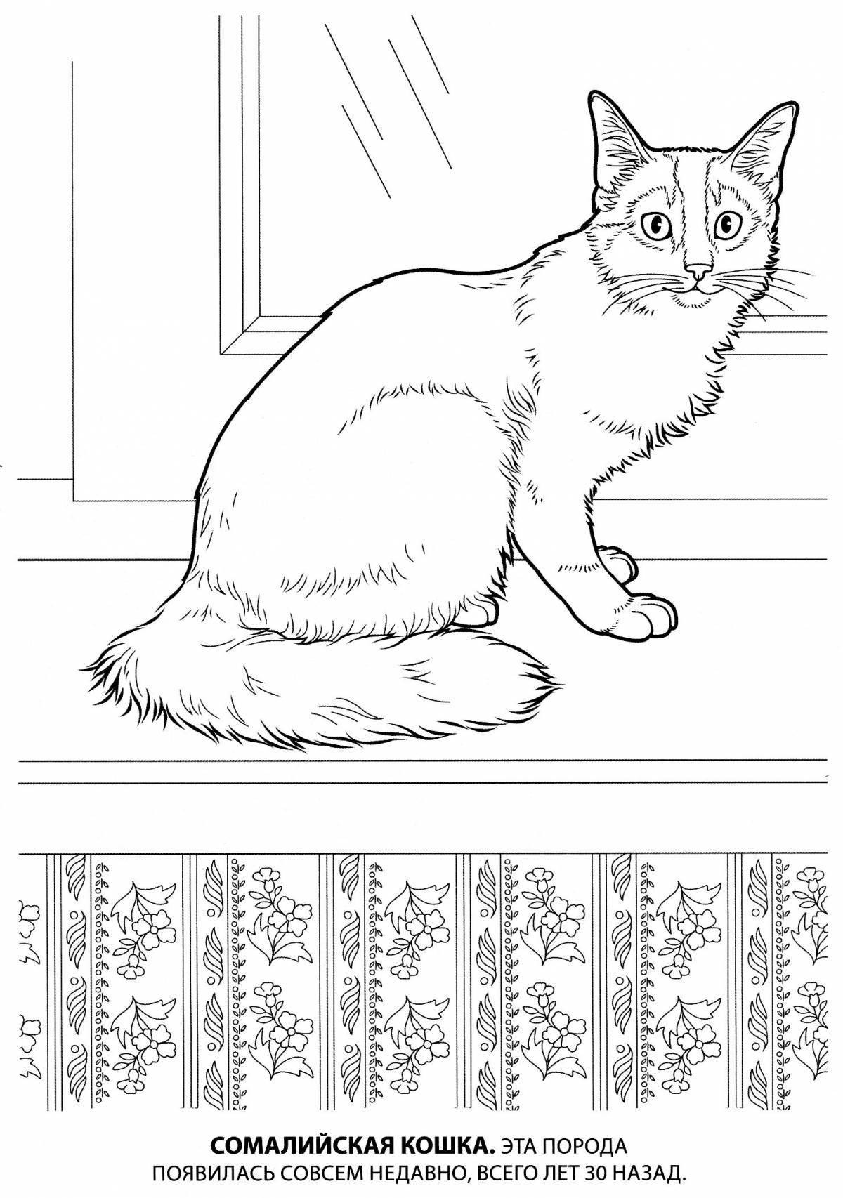 Красочная страница раскраски реального кота