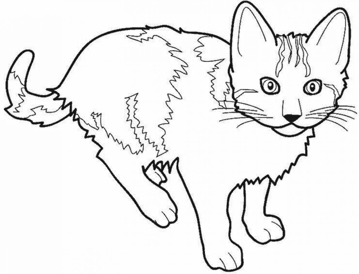 Playful real cat coloring page