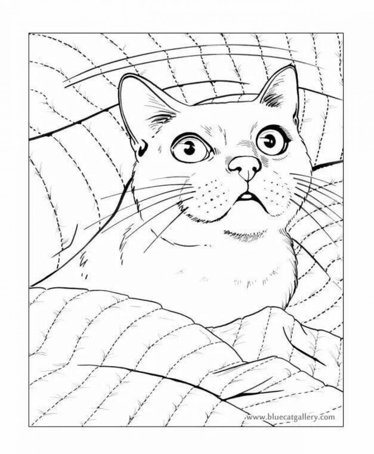 Coloring page fluffy real cat