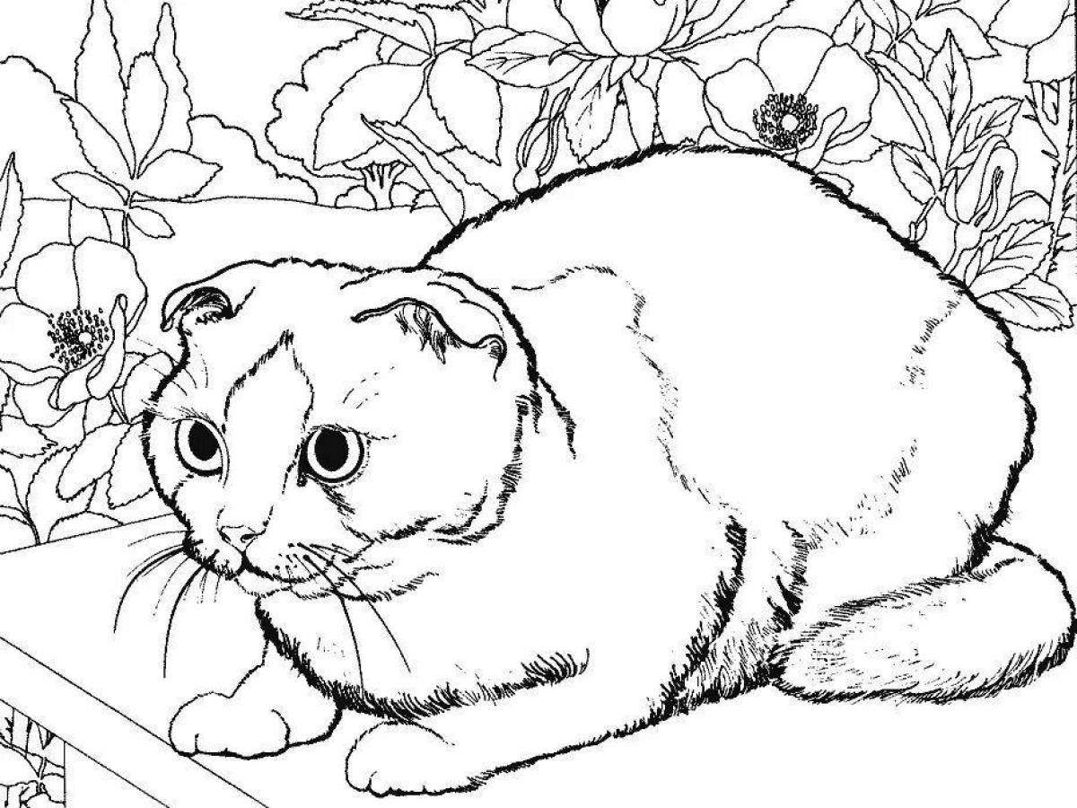 Naughty real cat coloring book