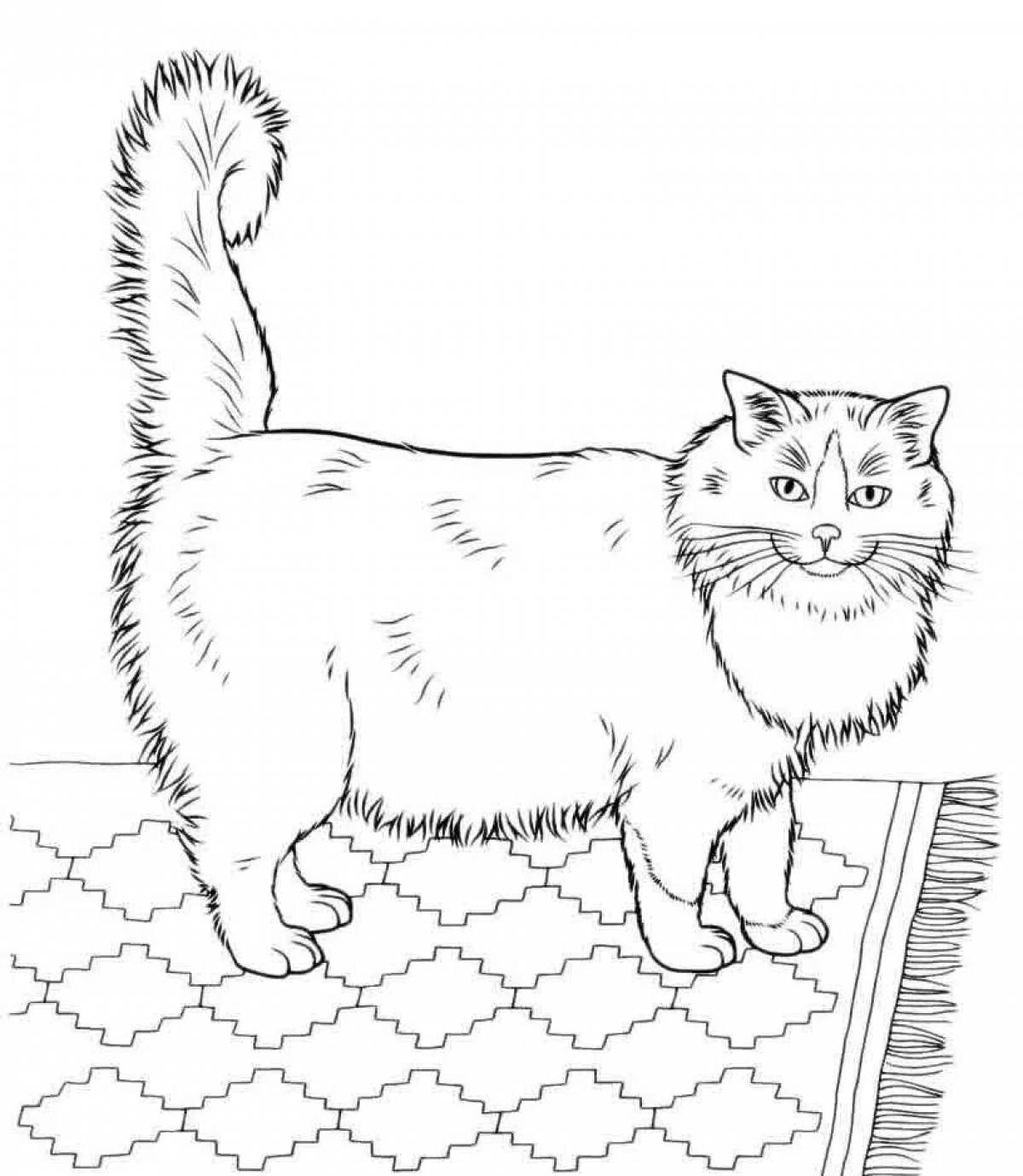 Alert real cat coloring page