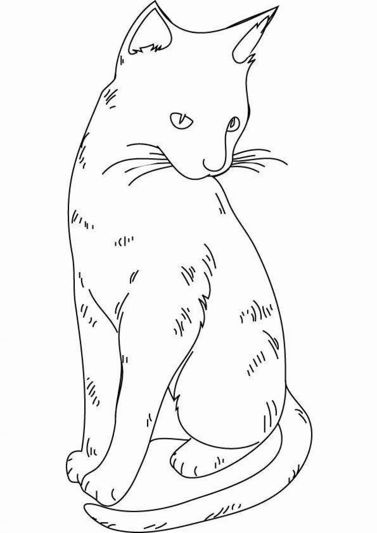 Элегантная настоящая кошка раскраска