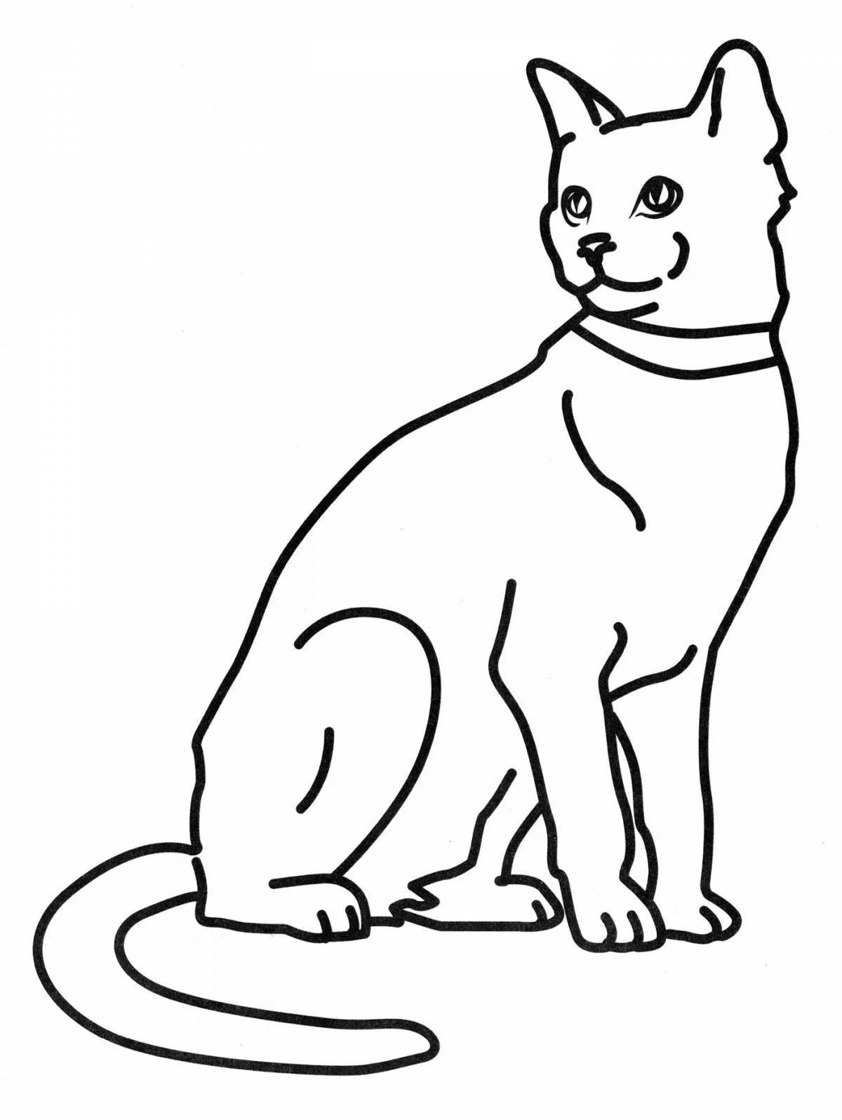 Мягкая настоящая кошка раскраска