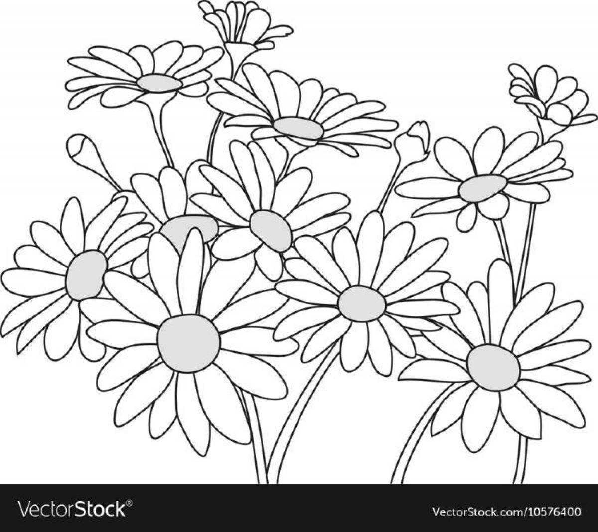 Coloring book cheerful bouquet of daisies
