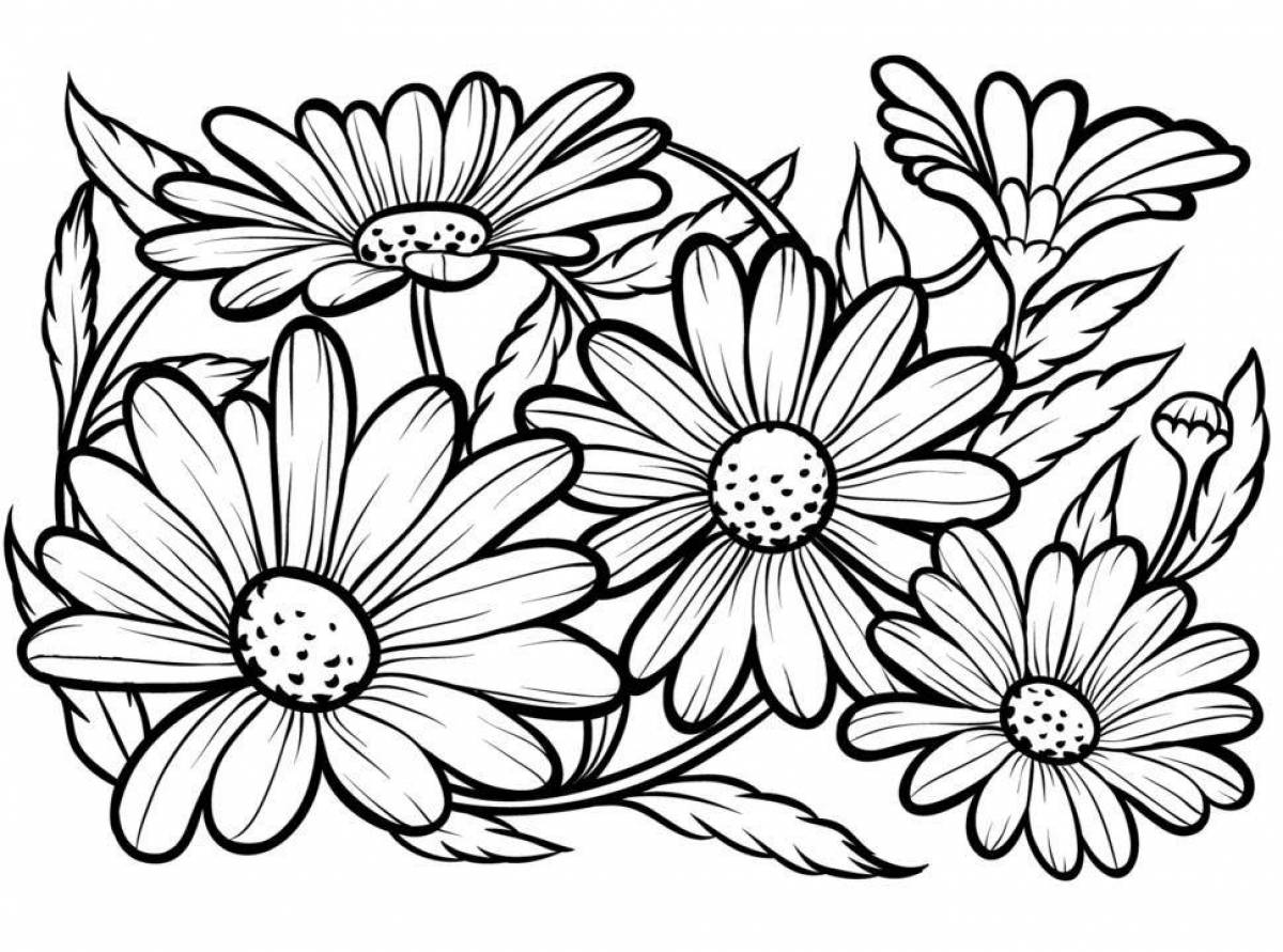 Coloring book sunny bouquet of daisies