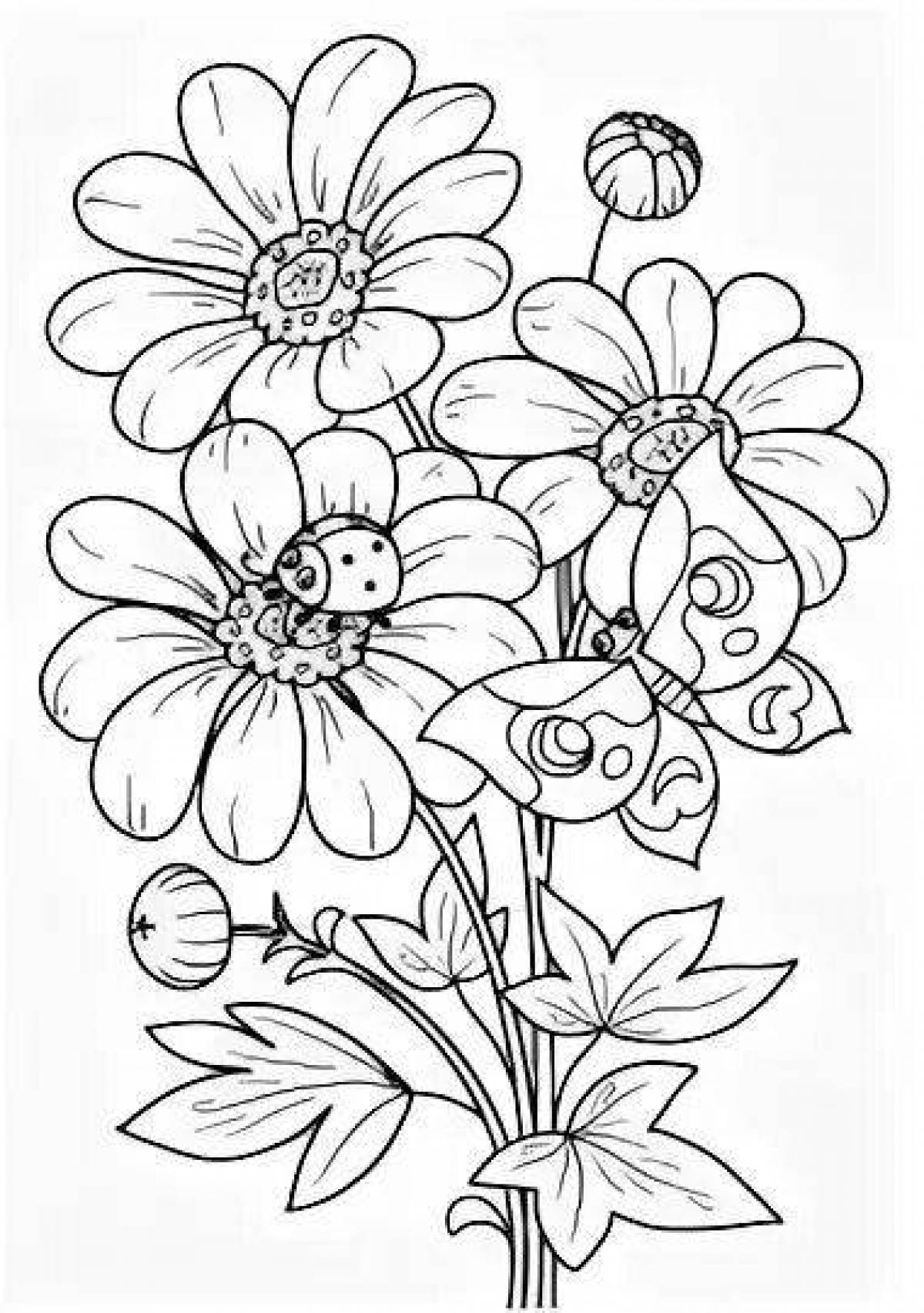 Coloring live bouquet of daisies