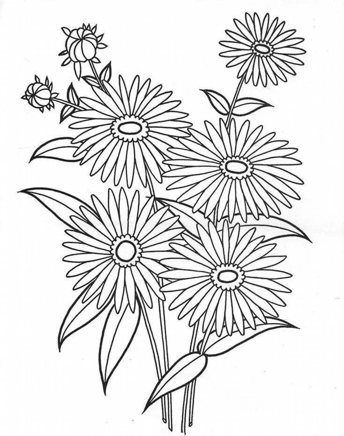 Coloring book peaceful bouquet of daisies