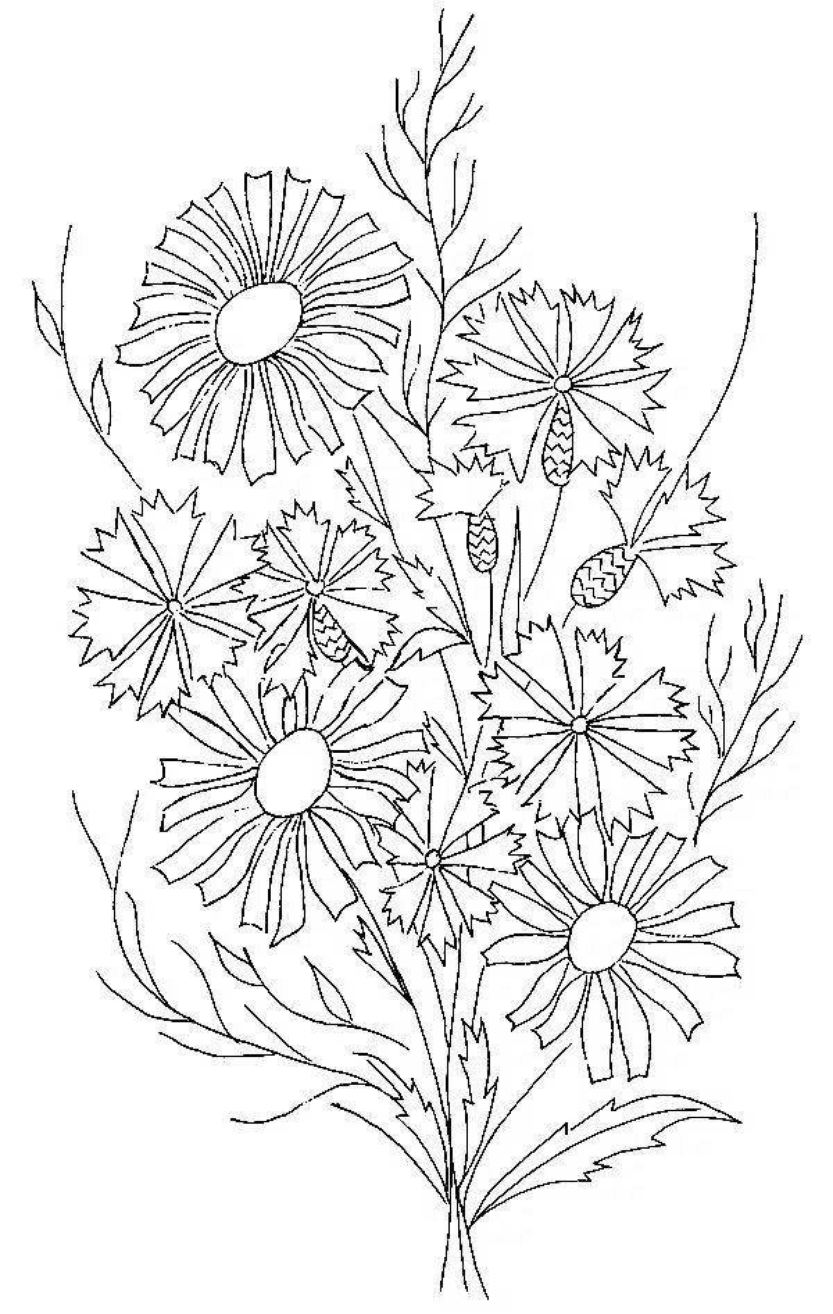 Coloring book calm bouquet of daisies