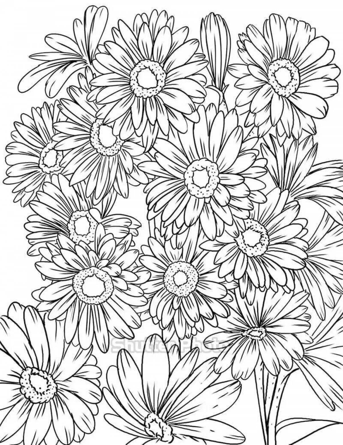 Coloring big bouquet of daisies