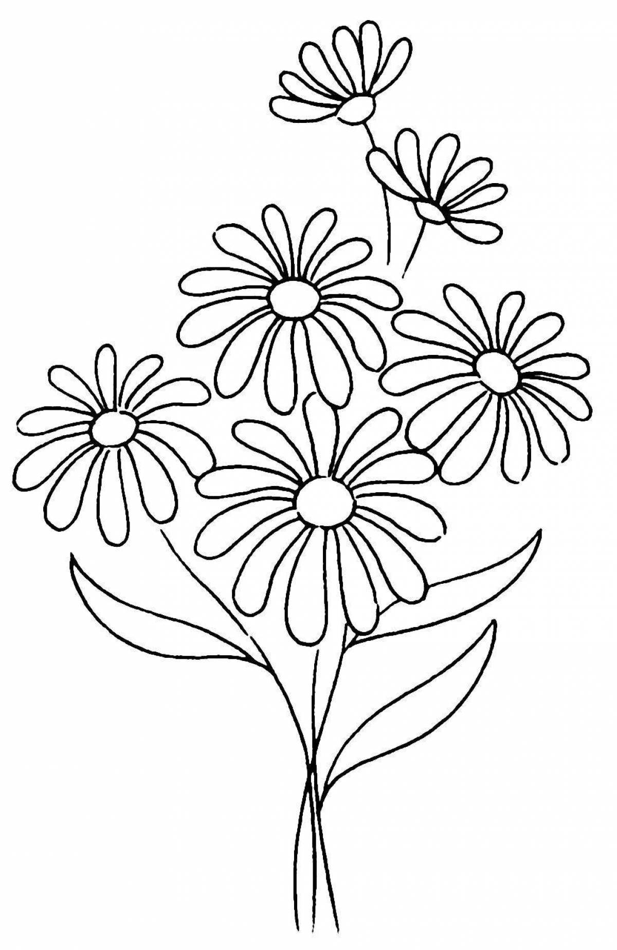 Colouring amazing bouquet of daisies