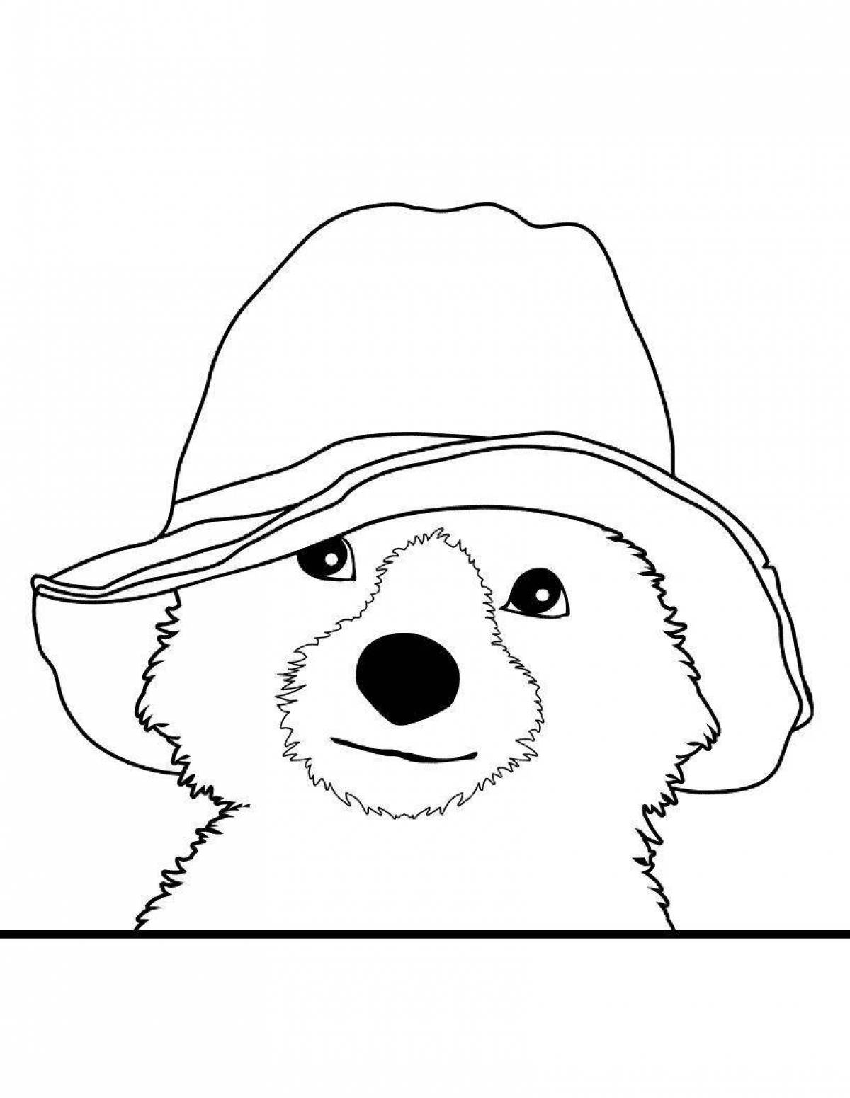 Funny paddington bear coloring book