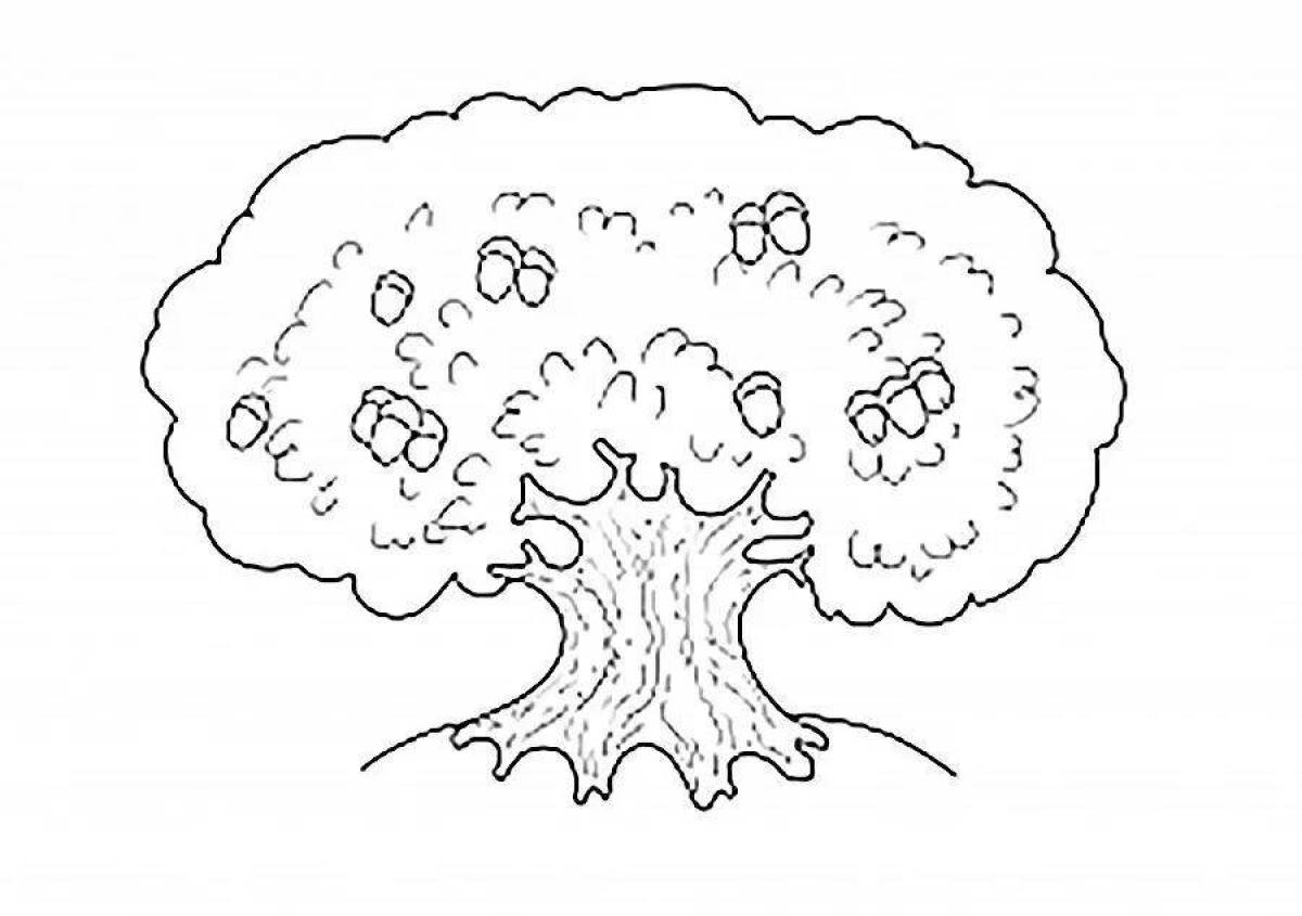 Раскраски Дерево дуб (39 шт.) - скачать или распечатать бесплатно #11314