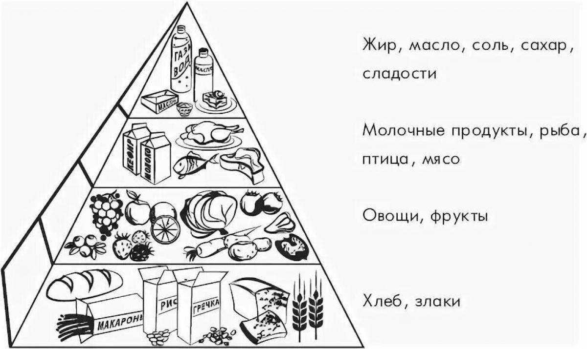 Раскраска «динамическая пищевая пирамида»