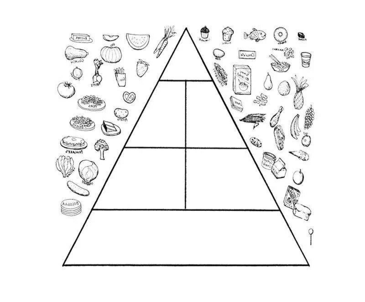 Food pyramid #8
