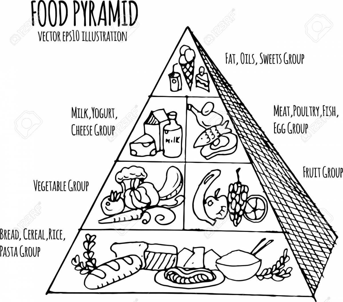 Food pyramid #12