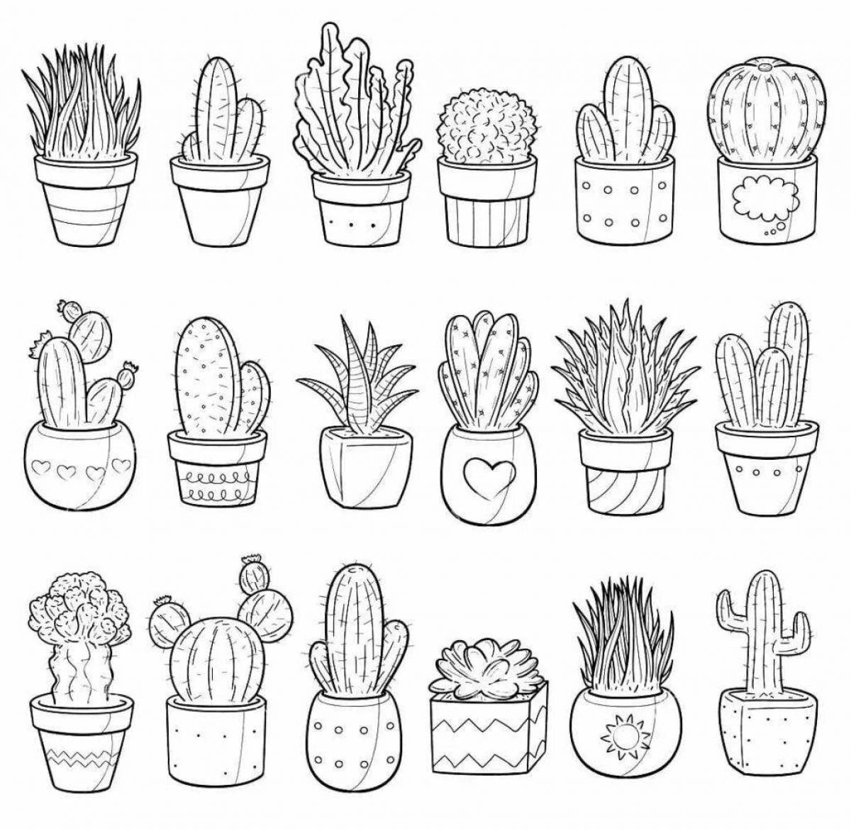 Charming cactus coloring book