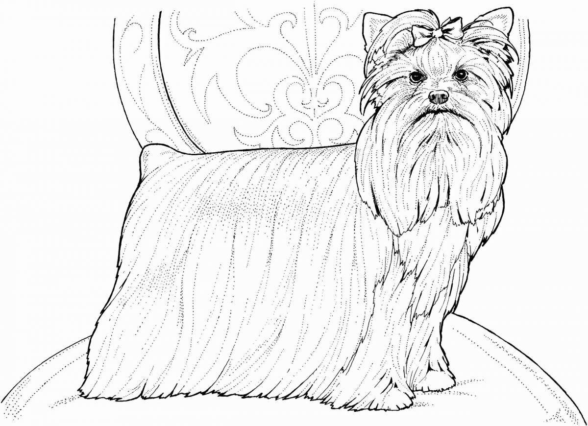 Living york dog coloring page