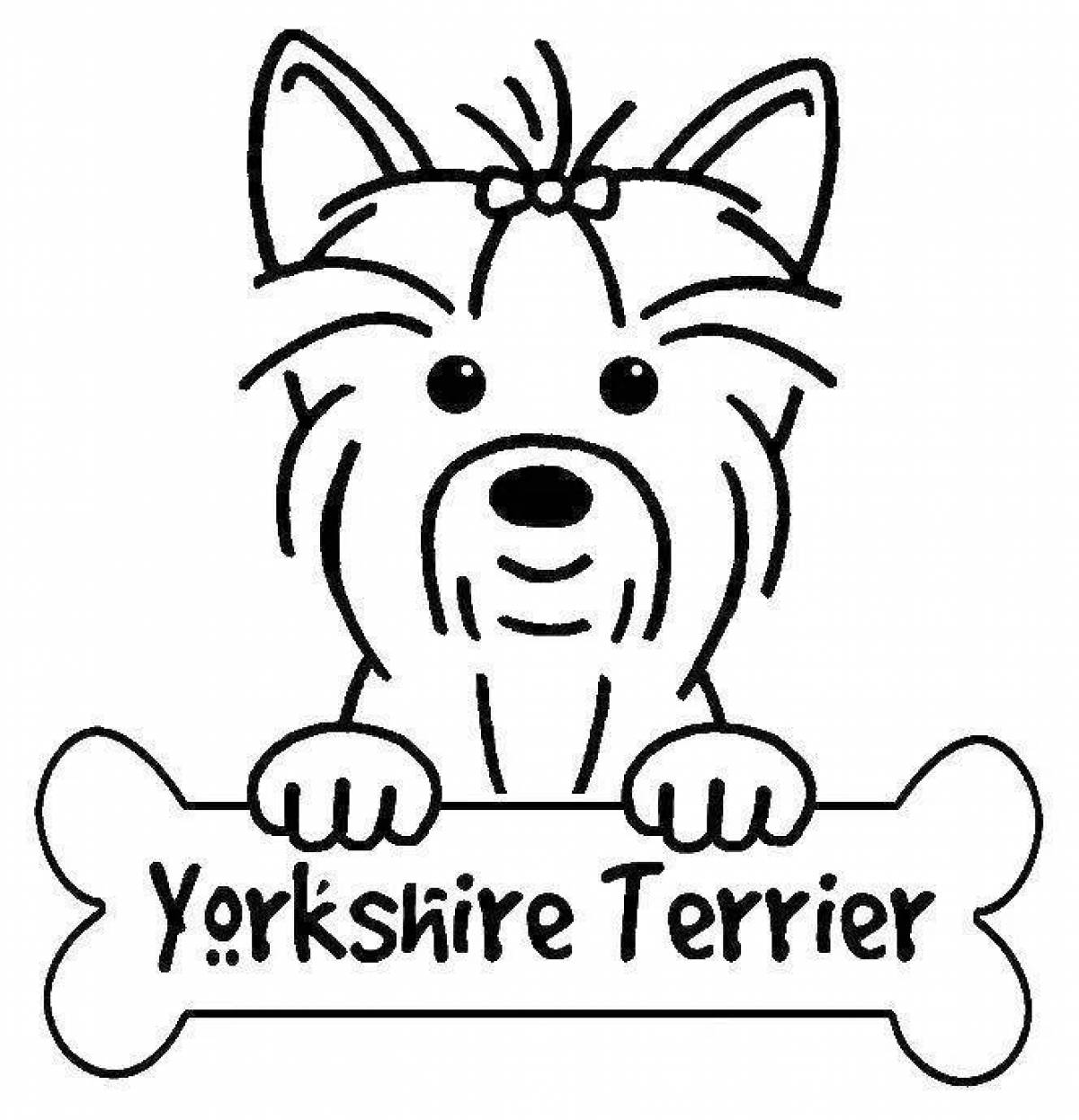 Adorable Yorkie dog coloring page