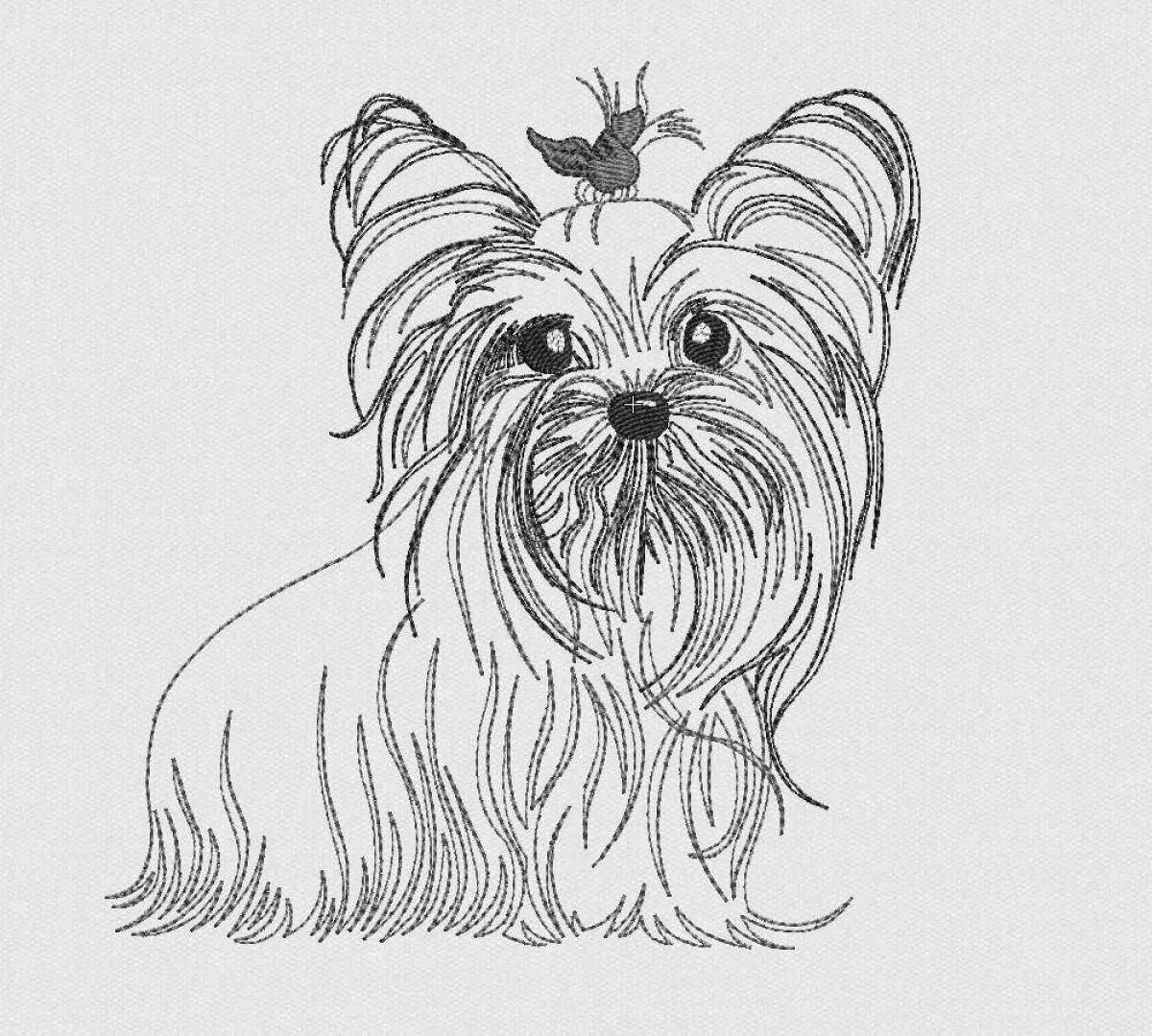 Attractive Yorkie dog coloring book