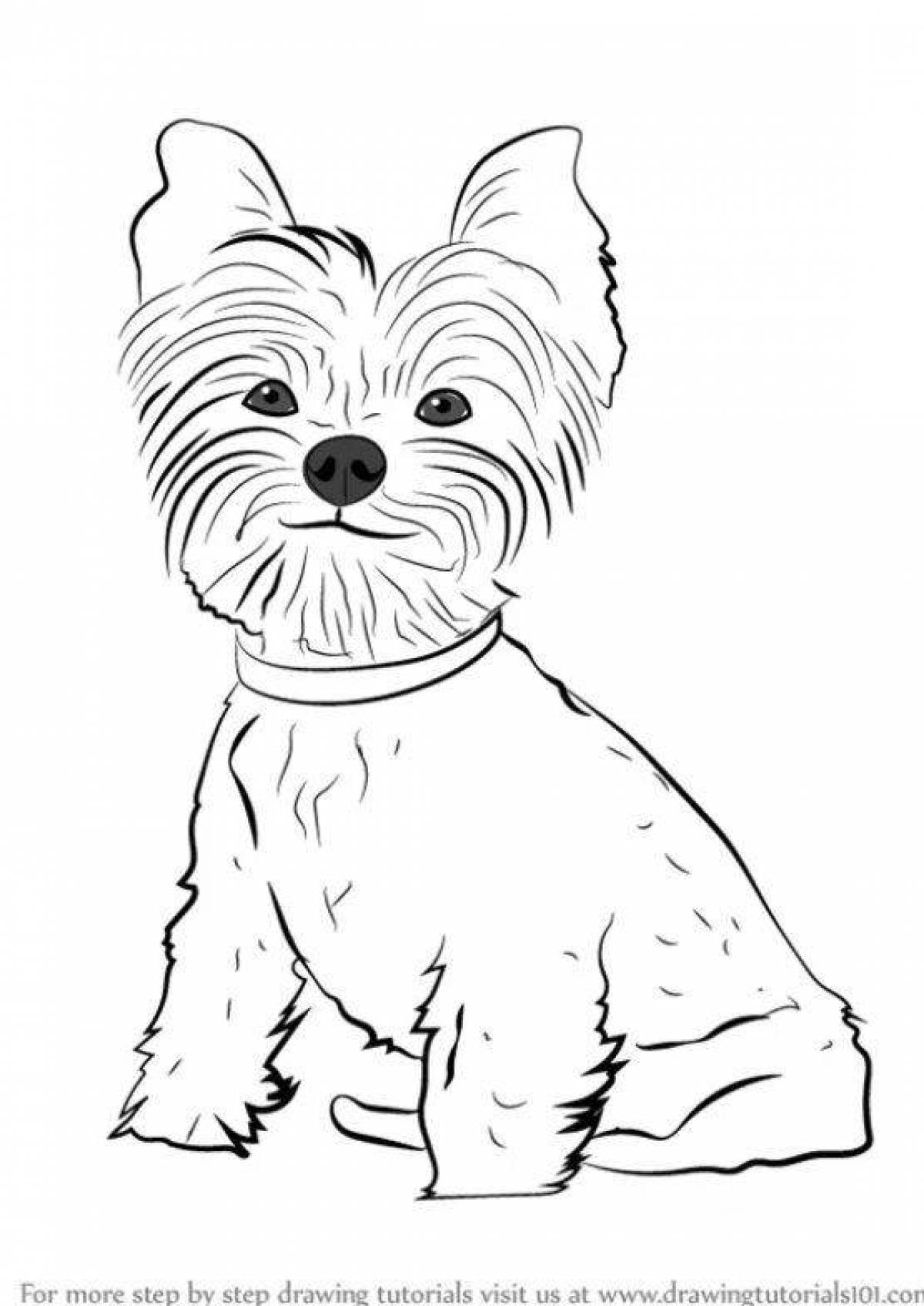 Adorable Yorkie dog coloring book