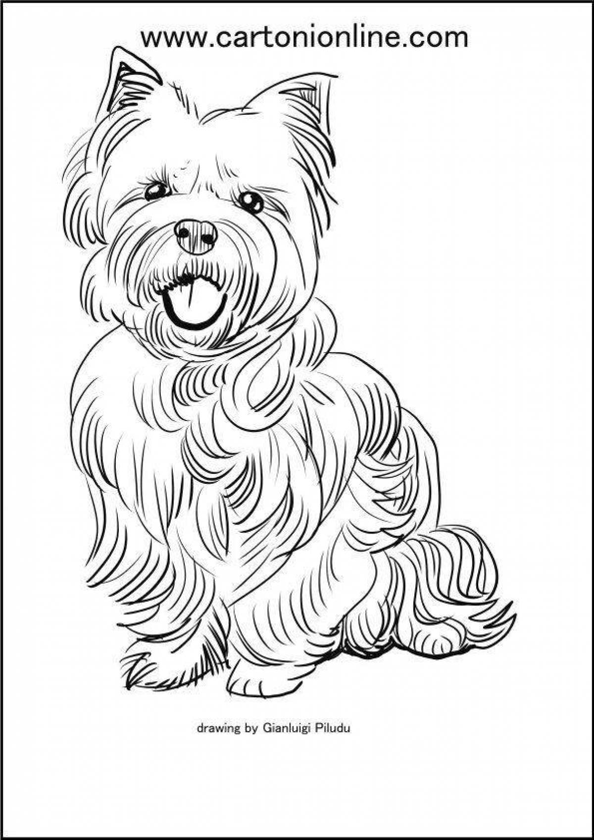 Coloring page cute york dog