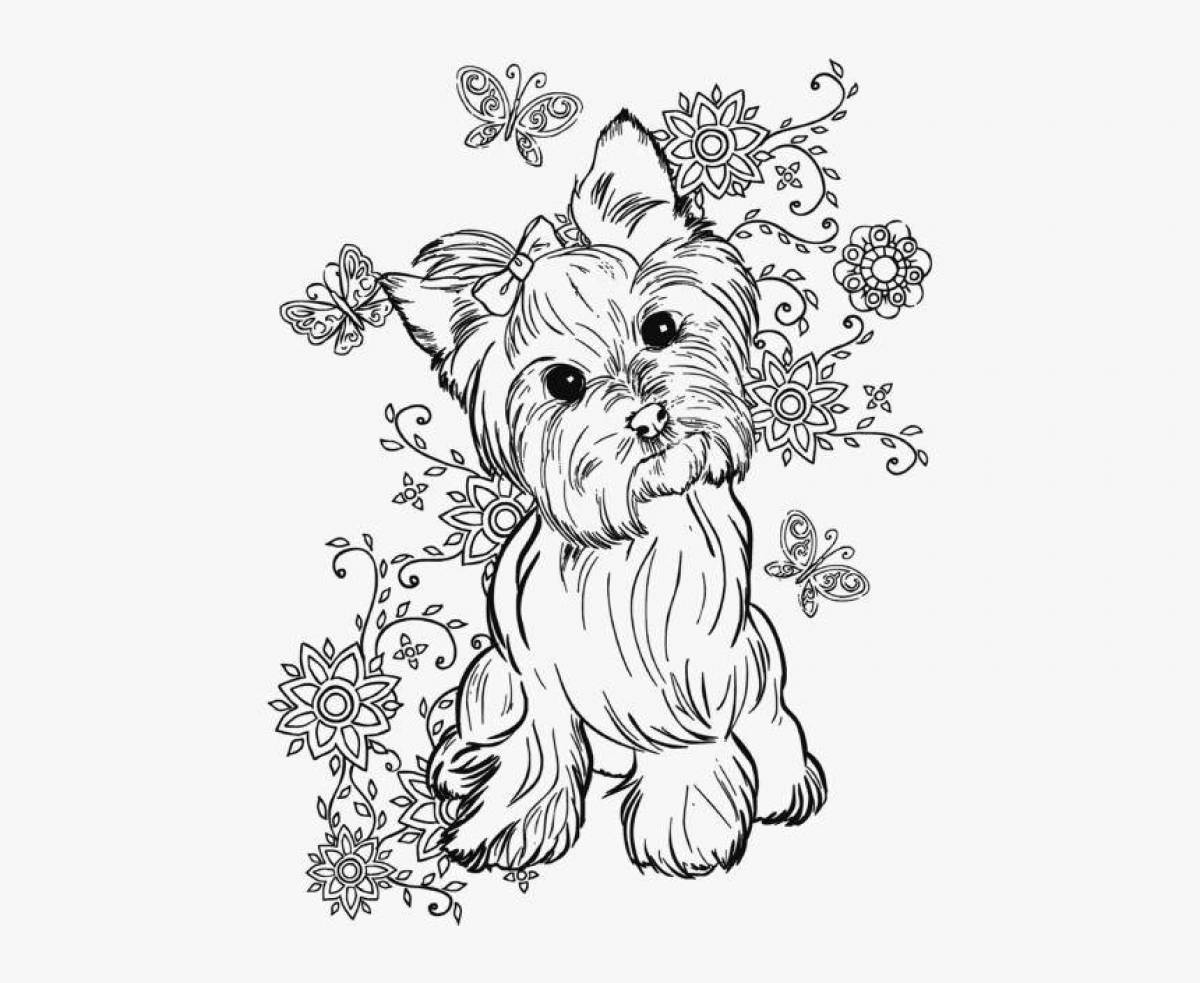 Colouring friendly yorkies