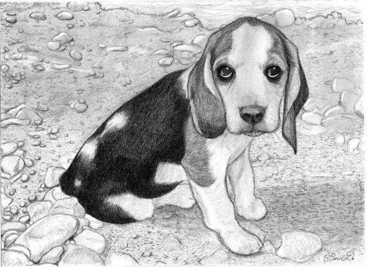 Coloring book loving beagle dog