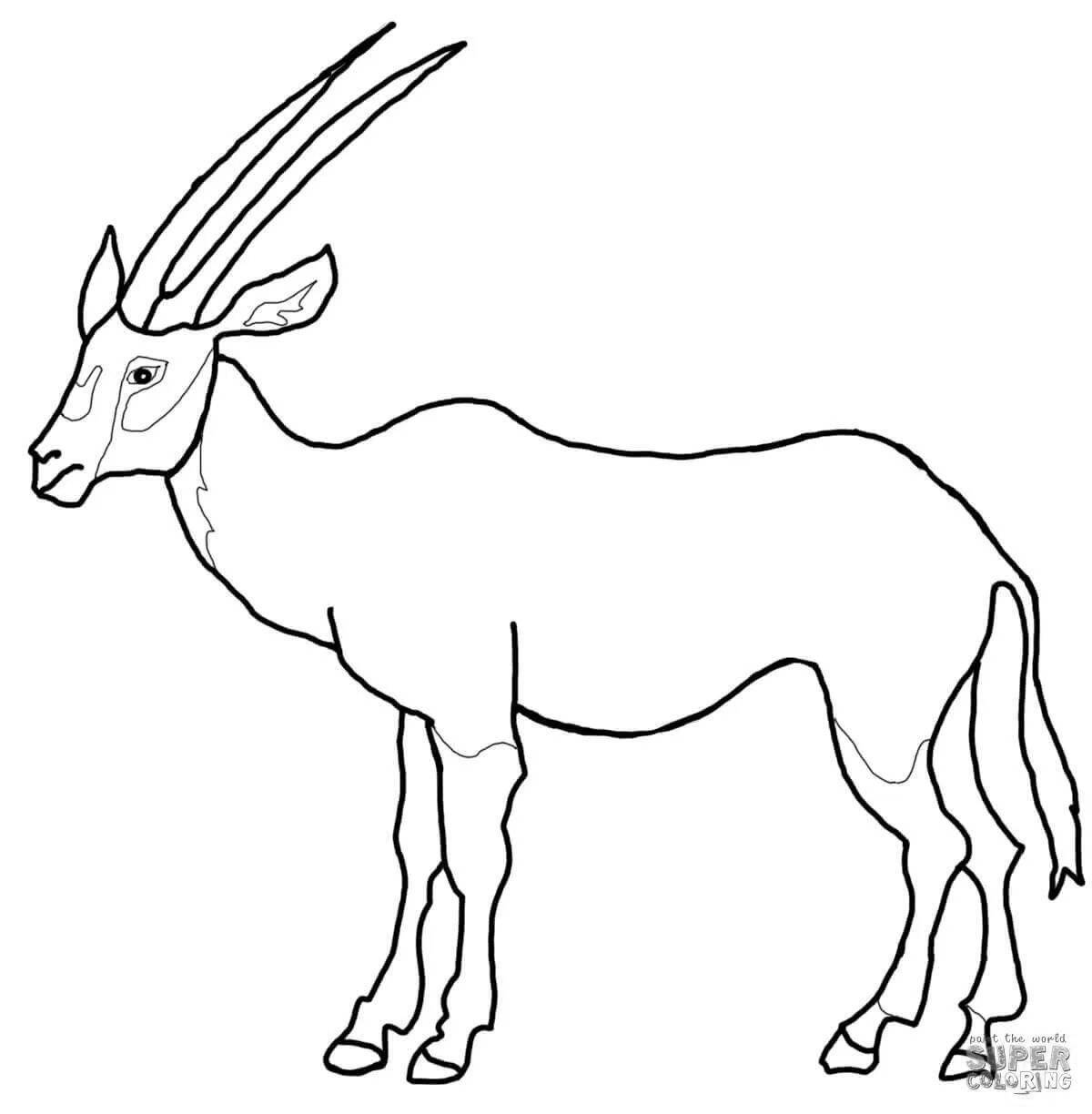 Coloring book golden antelope