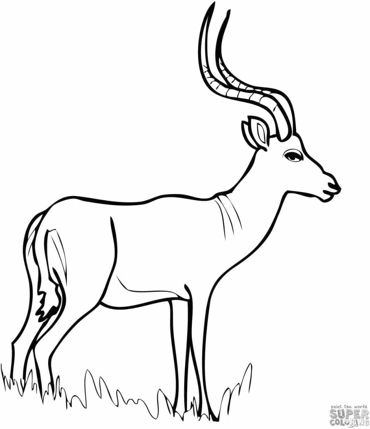 Coloring elegant golden antelope