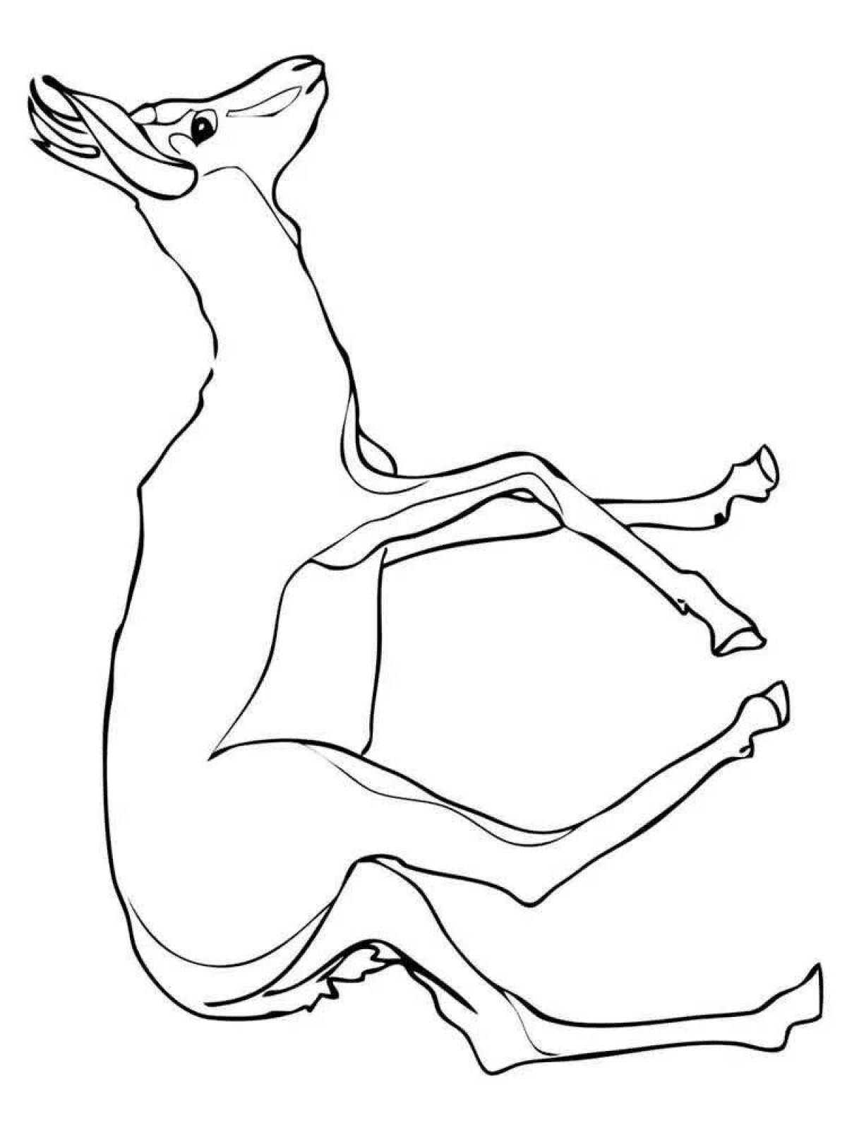 Adorable golden antelope coloring page