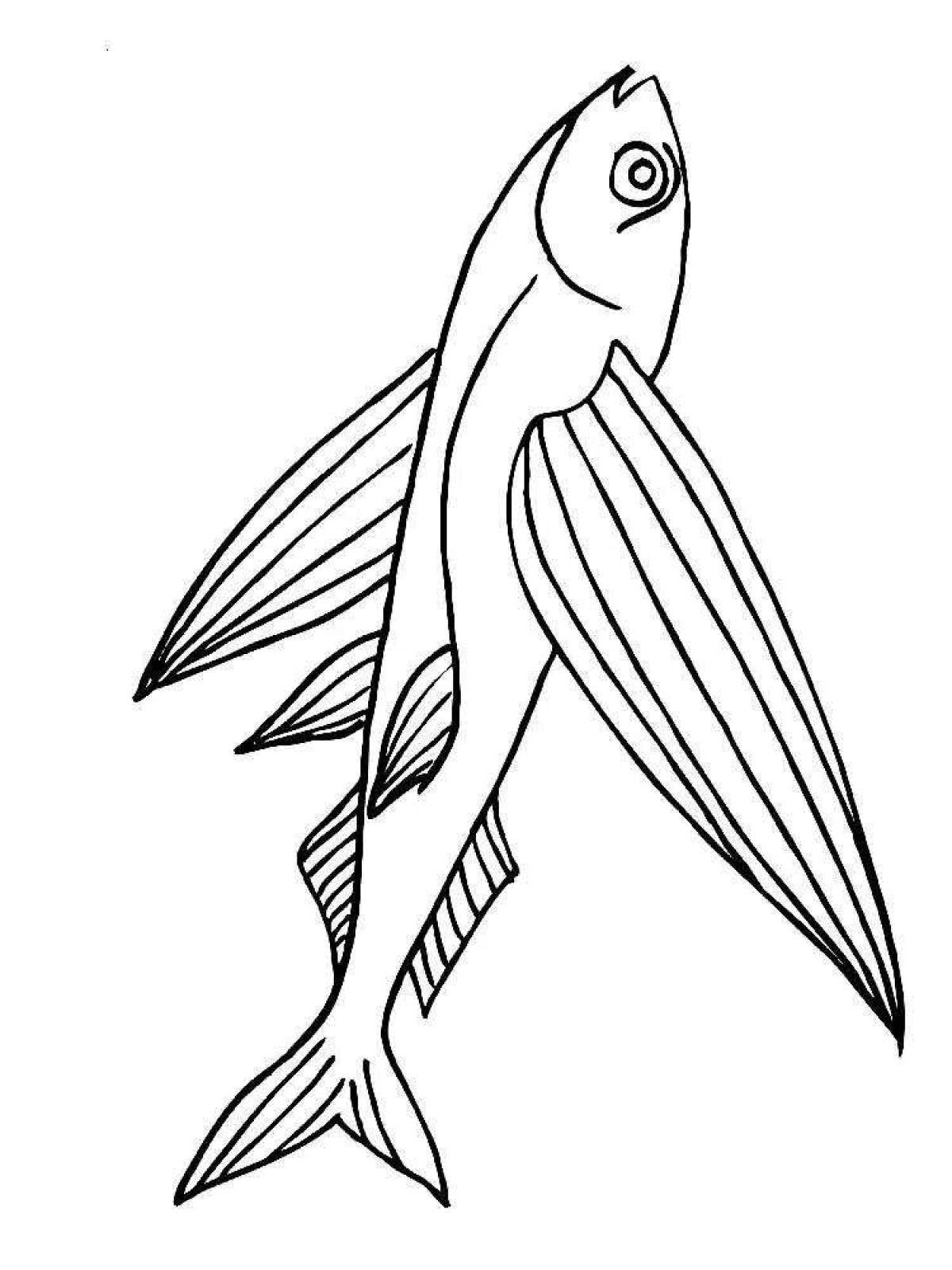 Coloring book dazzling flying fish