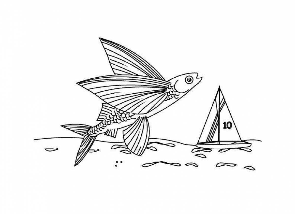 Фото Динамическая страница раскраски летучих рыб