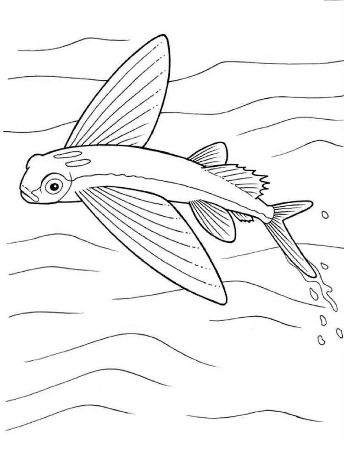 Фото Ярко окрашенная страница раскраски летучей рыбы