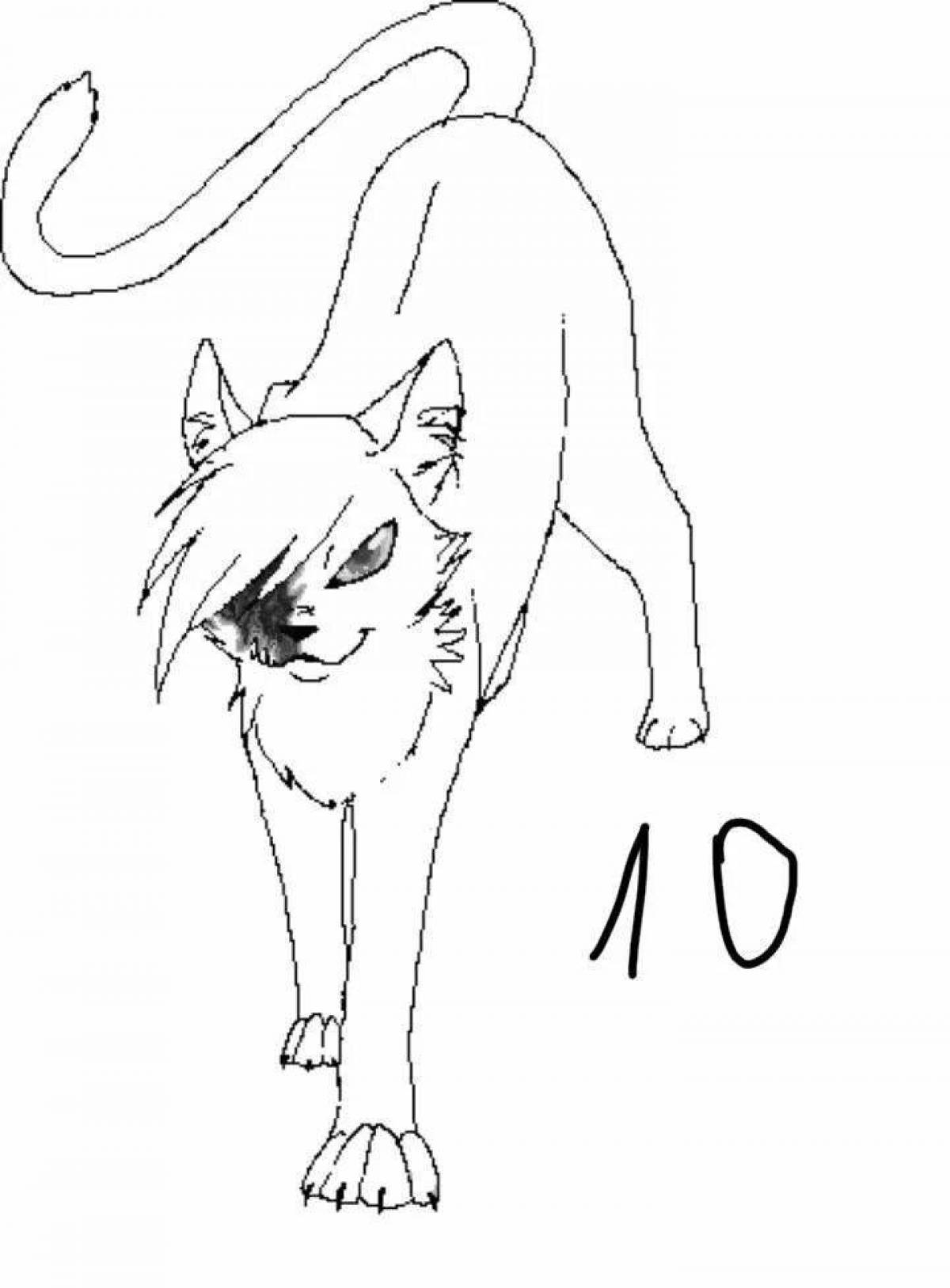 Coloring book stylish anime cat