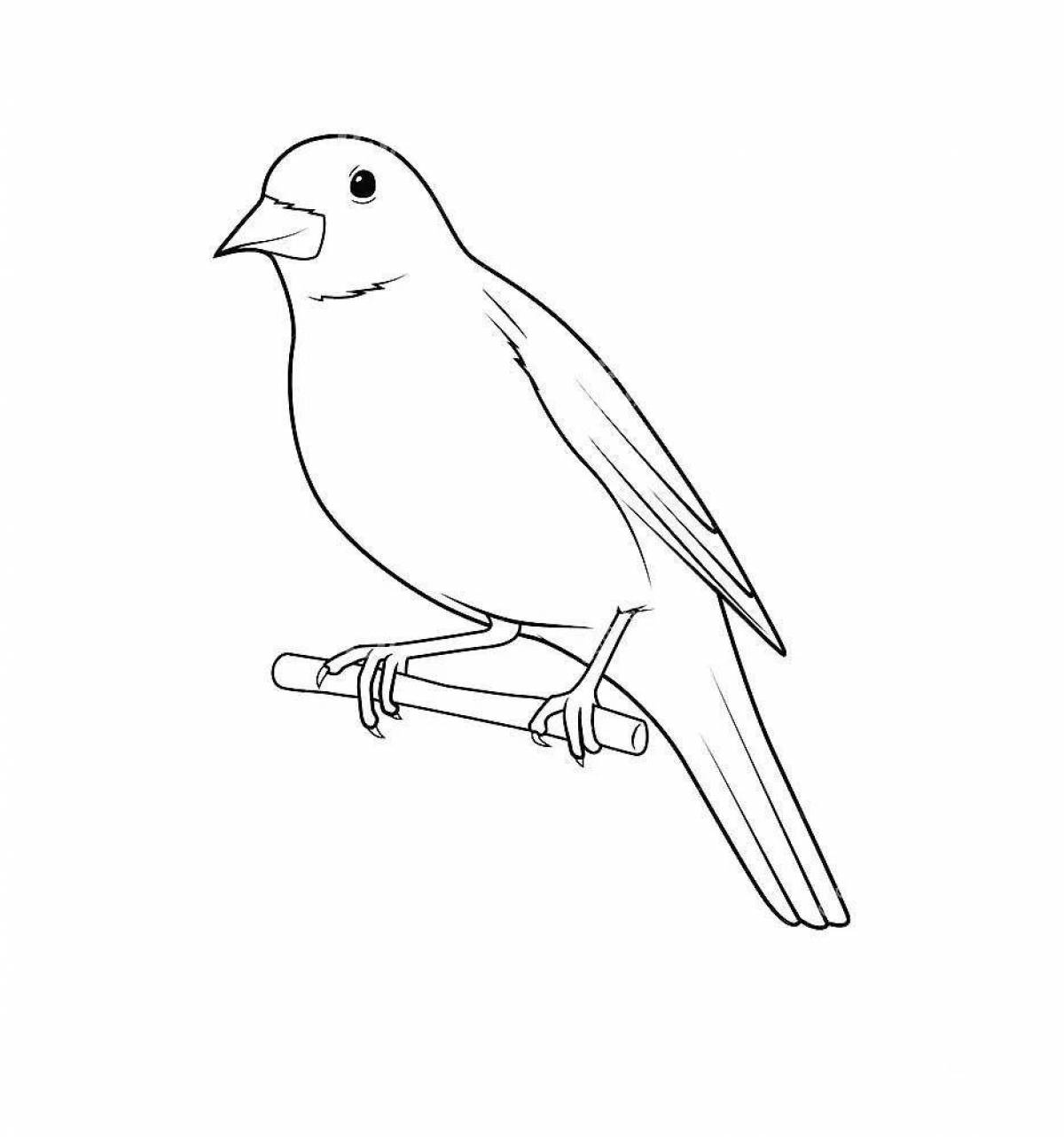 Animated crow coloring page