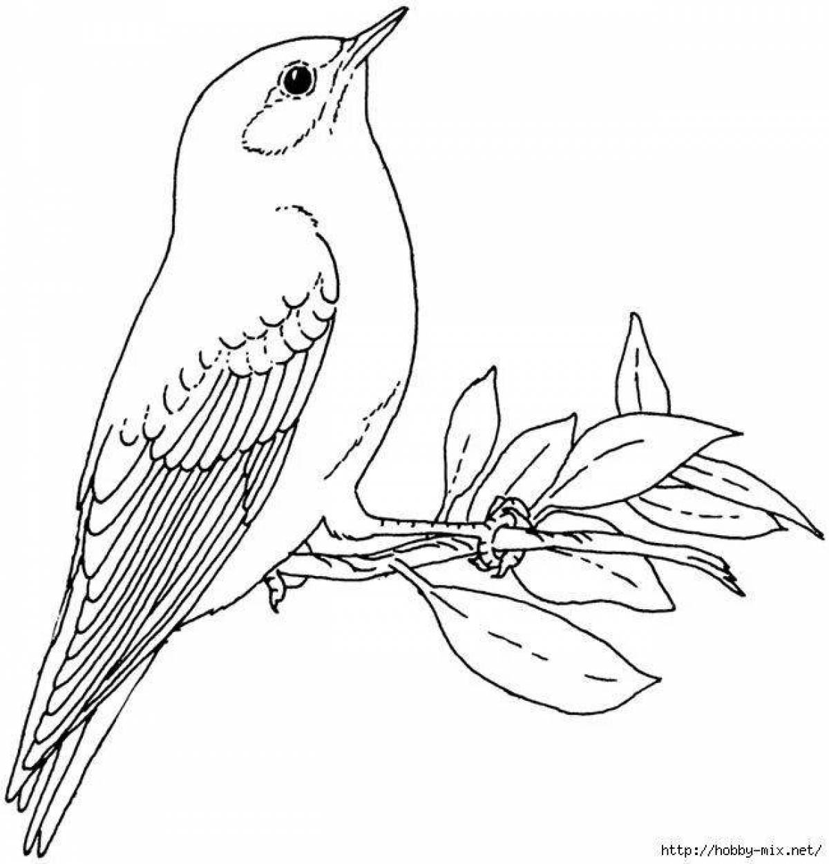 Awesome nightingale coloring page