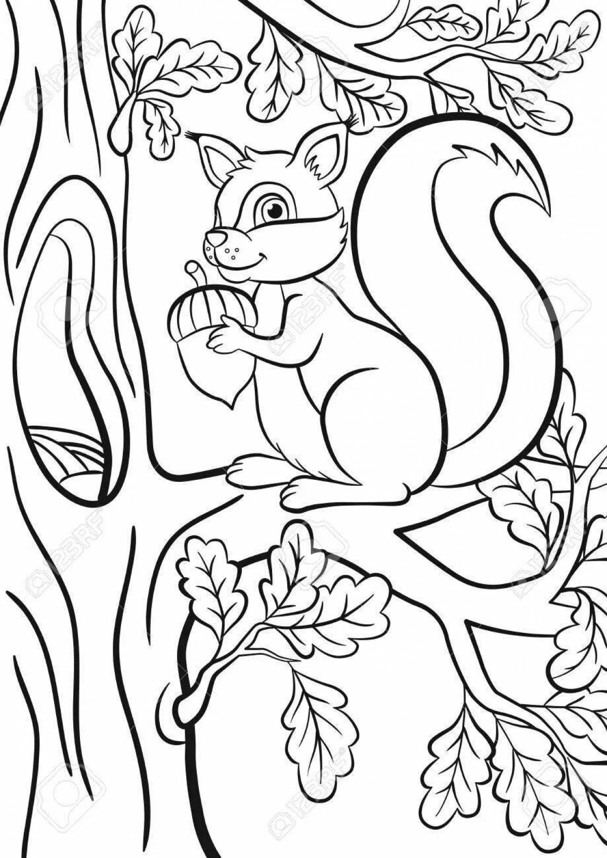 Coloring book busy squirrel