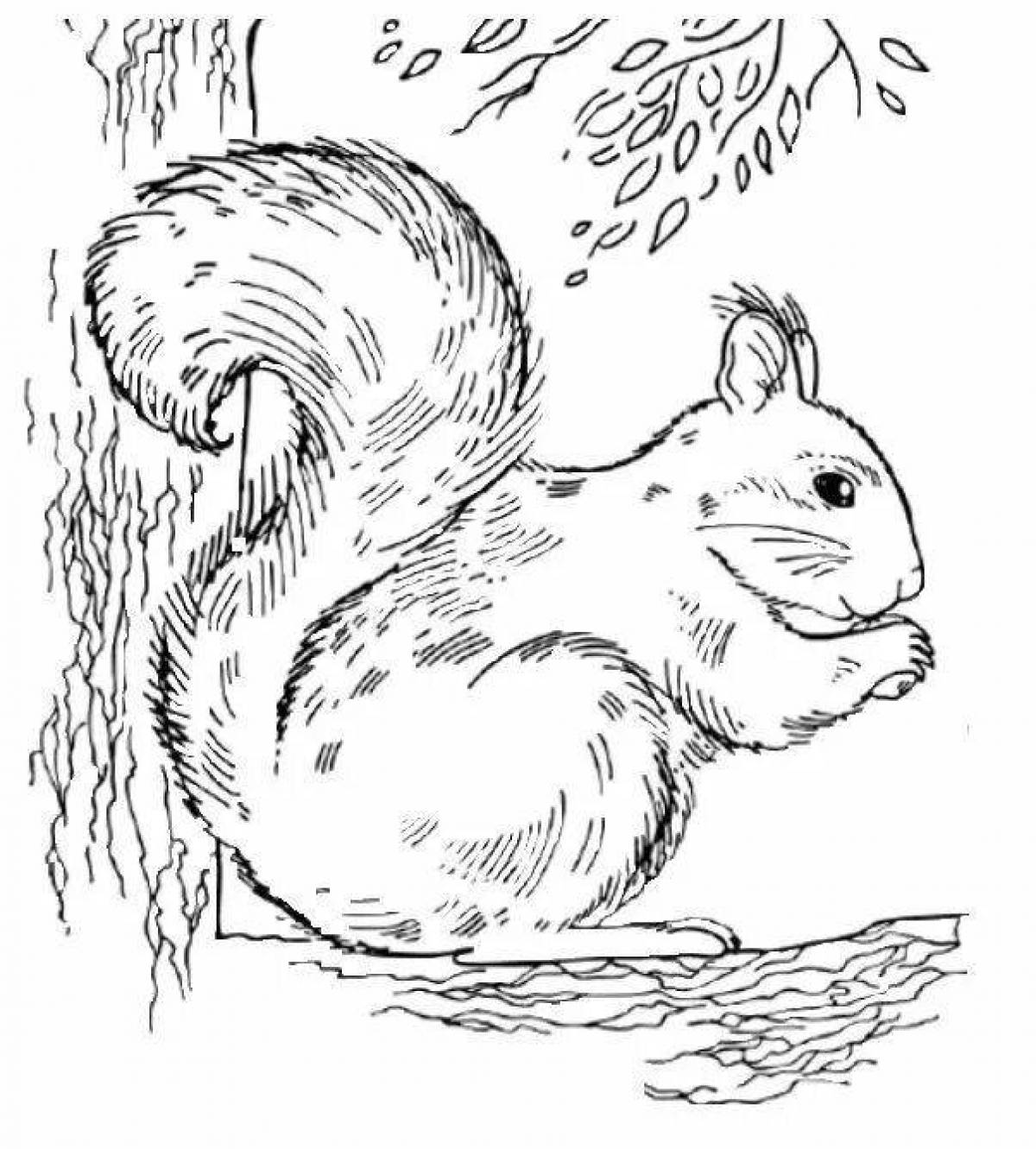 Adorable squirrel coloring page