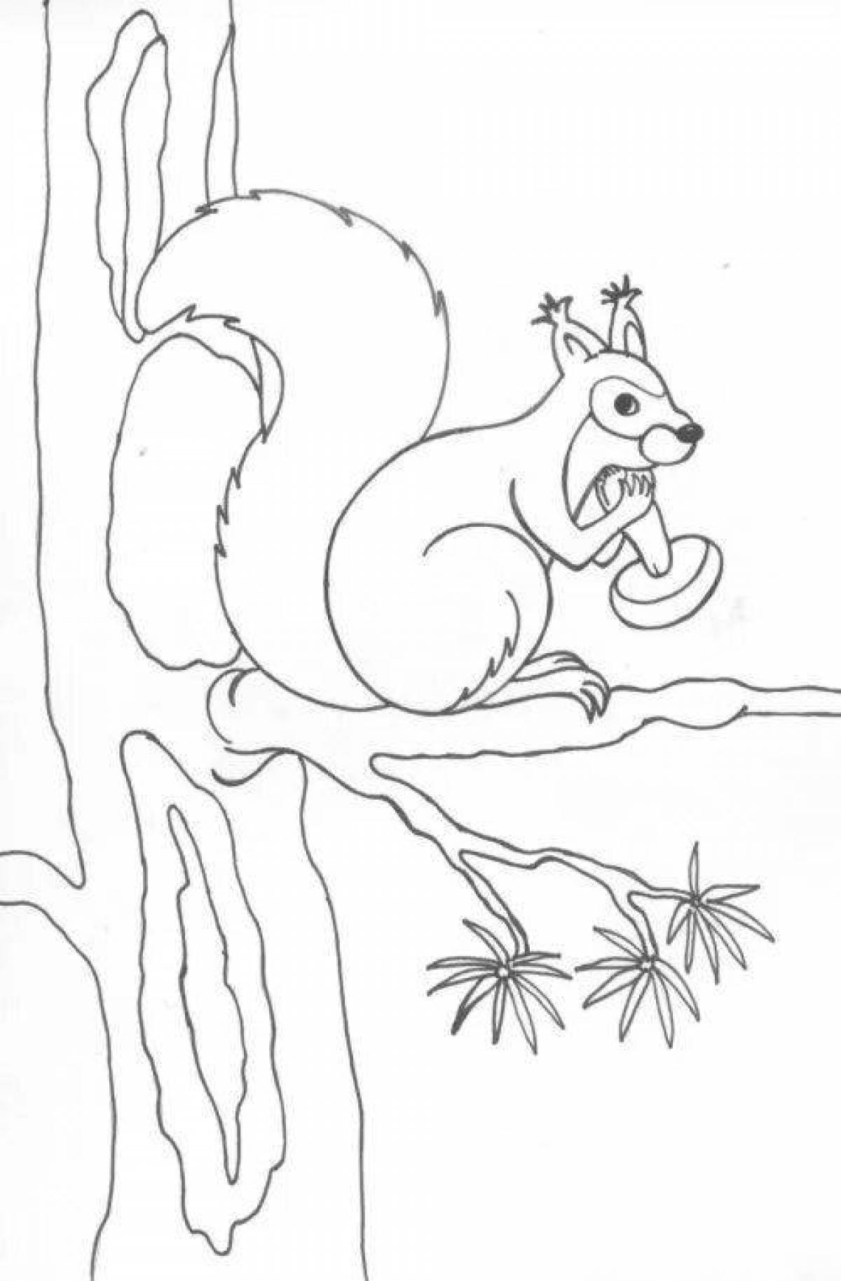 Coloring book with bubble squirrel