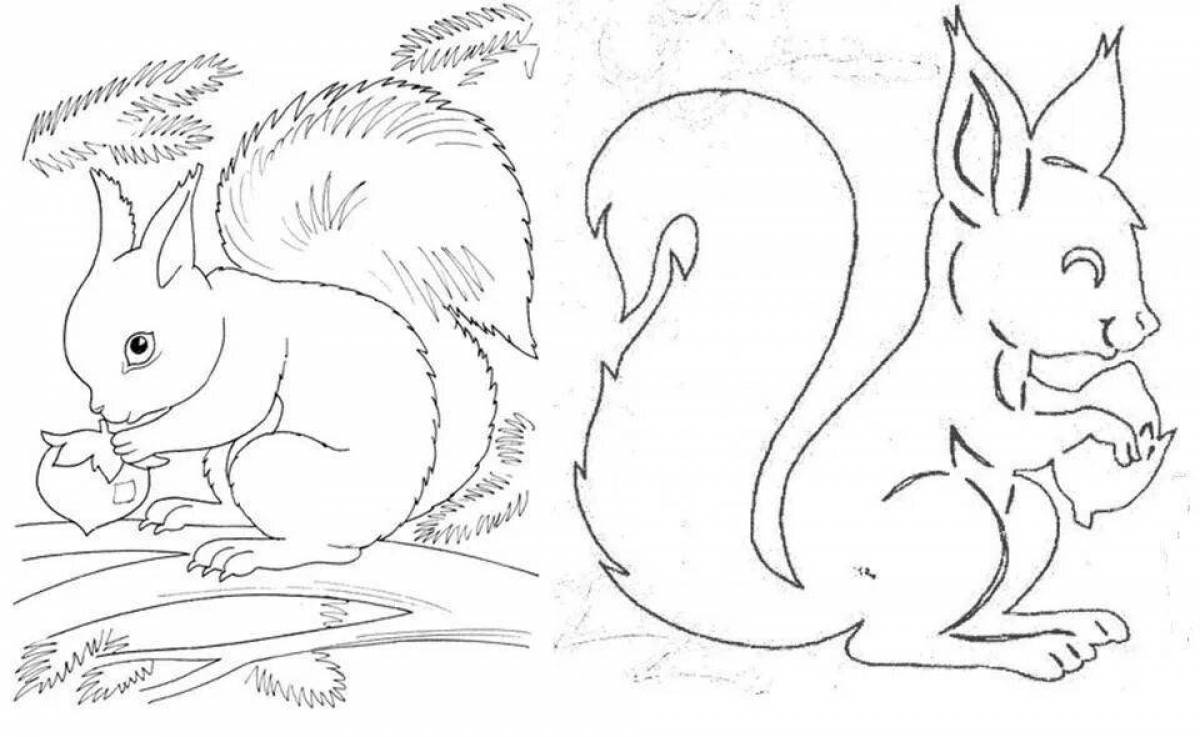 Naughty squirrel coloring page