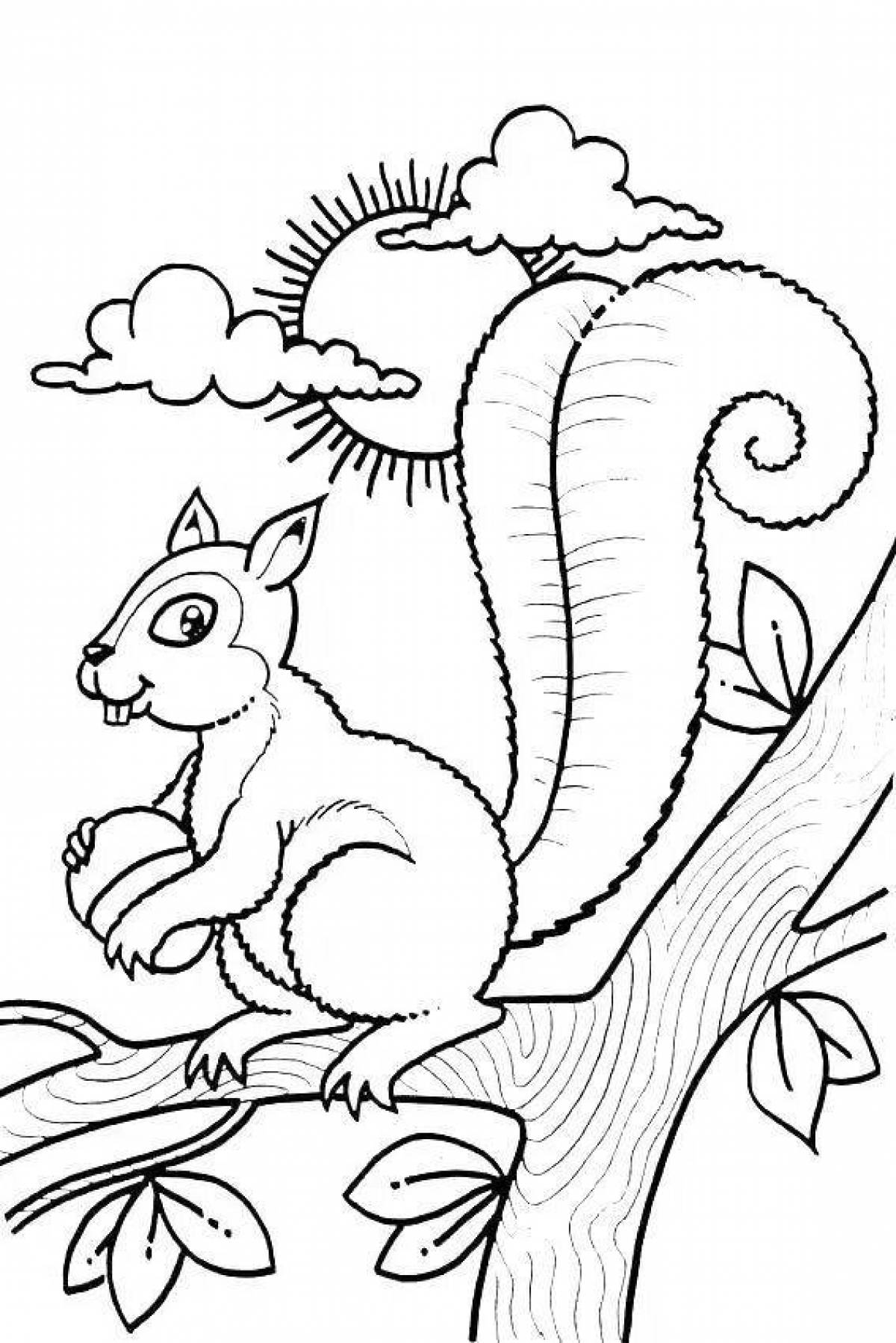 Coloring book smart squirrel